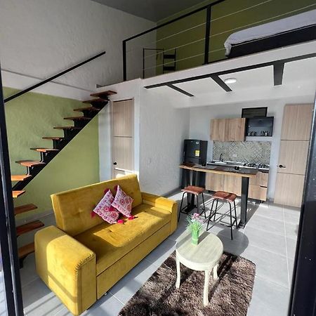 Apartaestudios Las Astromelias Salento Ngoại thất bức ảnh