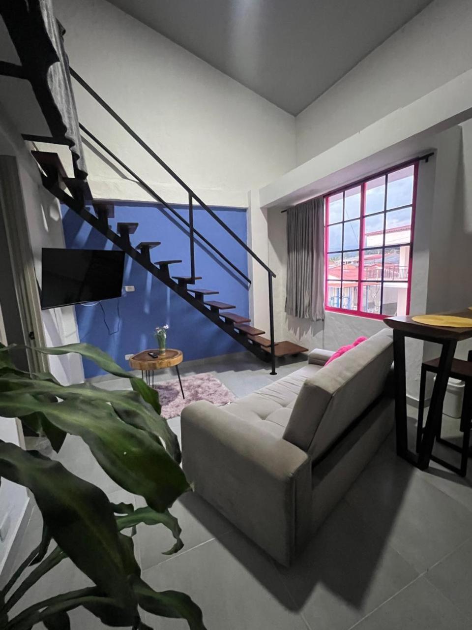 Apartaestudios Las Astromelias Salento Ngoại thất bức ảnh